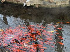 -水磨沟公园