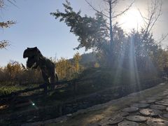 -千年银杏谷文化旅游区
