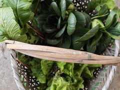 -马陆小张葡萄园农家乐