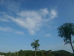 -星巴克臻选(湛江鼎盛广场店)