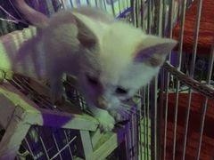 -星宿秘码(鼓浪屿老店)