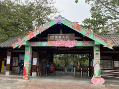 -大湾区中央湿地公园