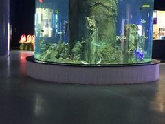 -福州罗源湾海洋世界旅游区