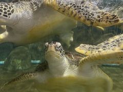 -福州罗源湾海洋世界旅游区