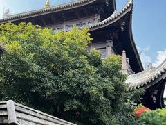 -龙华素斋(龙华路店)