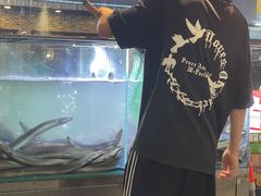 -本炙炭烤·蒲烧活鳗料理店(金沙洲店)