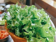 -安又胖韩国烤肉