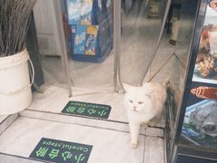 -再回首(西关木塔巷店)