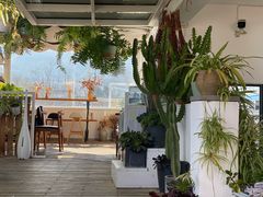 -唐咖精品咖啡(大理古城手冲店)