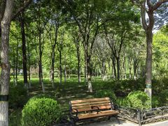 -大兴滨河森林公园