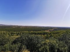 -塞罕坝国家级自然保护区