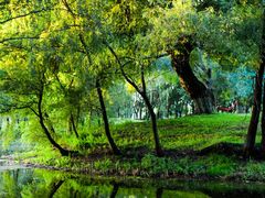 -长白岛森林公园