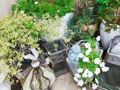 -IFIF 如果花園(宽厚里店)
