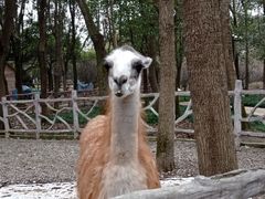 -昆山城市生态森林公园