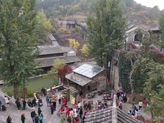 -古北烤梨