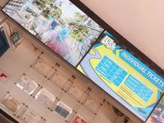 价格表-圣淘沙天际线斜坡滑车