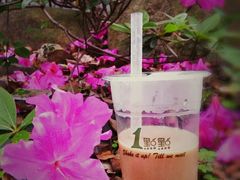-1点点(文峰广场店)