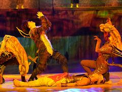 -西双版纳勐泐文化旅游区