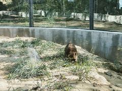 -青藏高原野生动物园