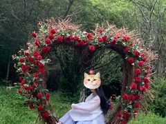 -叠溪松坪沟景区