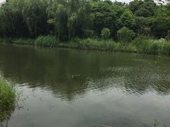 -新江湾城公园
