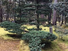 -西芳寺(苔寺)