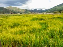 -泸沽湖国家级风景名胜区走婚桥