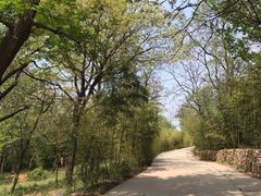 -红石寨旅游度假区