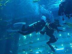 -成都浩海立方海洋公园