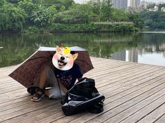 门面-重庆彩云湖湿地公园