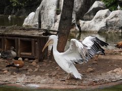 -昆明动物园