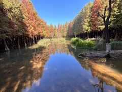 -捞渔河湿地公园