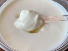 酸奶-阿拉木汗餐厅(山大路店)