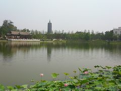 -西海子公园