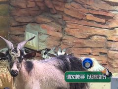-正佳雨林生态植物园