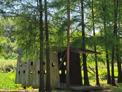 -南宁良凤江国家森林公园