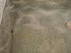 -咸宁万豪温泉谷度假区