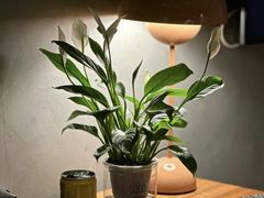 -君悦·SPA养生会所