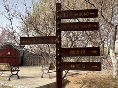 -桃花堤公园