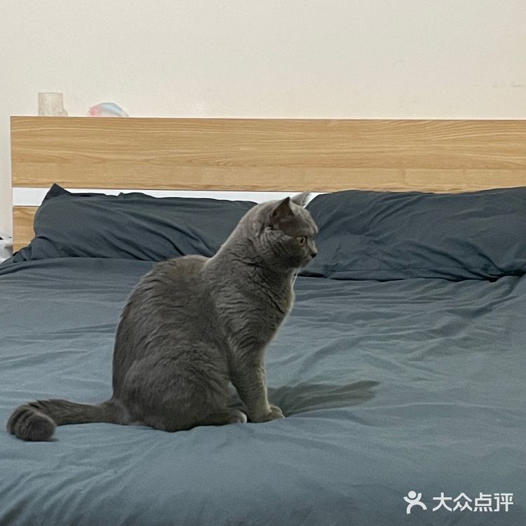 能拍到重庆你好的那边人简直多的不行