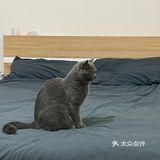 能拍到重庆你好的那边人简直多的不行