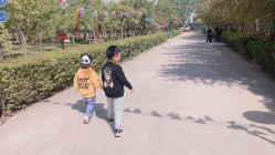 -上美四季动物农场