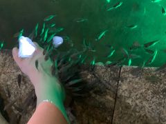 -宝丽金大酒店·洗浴中心