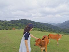 -大姆山草场