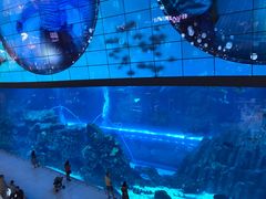-迪拜水族馆及水下动物园