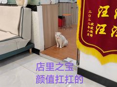 -荔康动物医院(康王北路店)