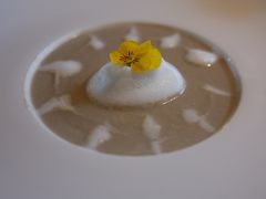 -百好乐宠物友好餐厅(朝外大街店)