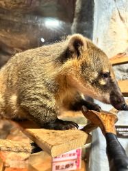 -Zoolung Zoolung动物主题公园(海信广场店)