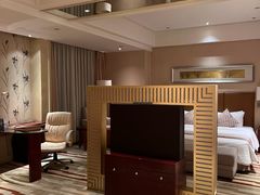 -电谷雅阁国际大酒店