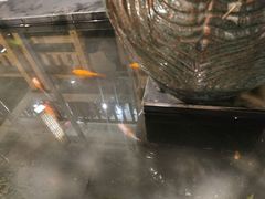 -旅马餐厅(茅家埠店)